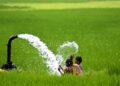 hellotelugu-APFarming