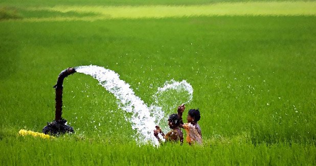 hellotelugu-APFarming