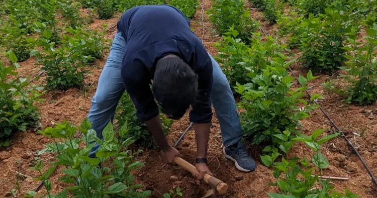 hellotelugu-NaturalFarming