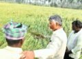 hellotelugu-APCM
