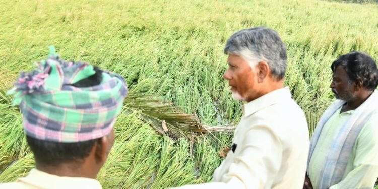 hellotelugu-APCM