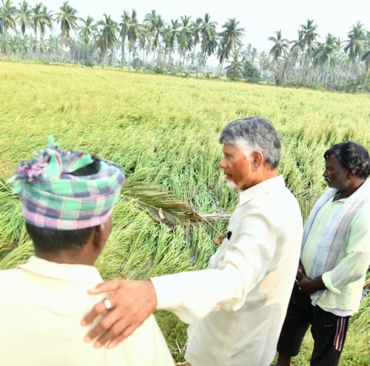 hellotelugu-APCM