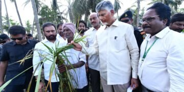 hellotelugu-ChandraBabuNaidu