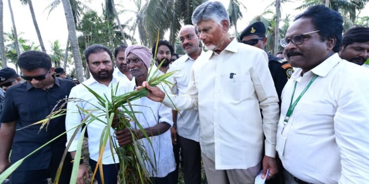 hellotelugu-ChandraBabuNaidu