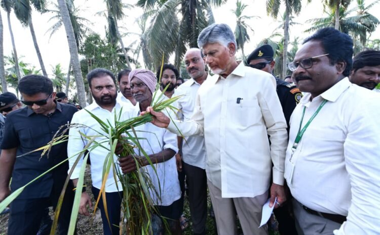 hellotelugu-ChandraBabuNaidu